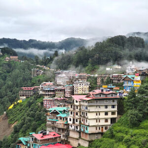 The Green Park Shimla