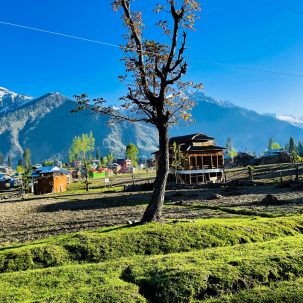 beautiful-landscape-arang-kel-kashmir-with-green-fields-local-houses-with-hidden-clouds